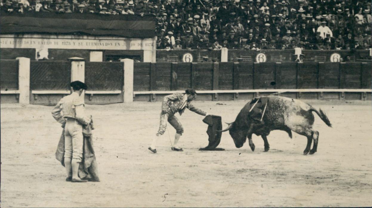 Domingo Dominguín, pasando de muleta en la plaza de toros de Madrid