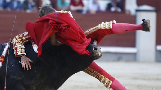 Cornada de 25 centímetros a Manuel Escribano en Las Ventas: «Me la ha pegado fuerte»