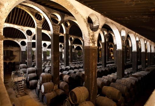 Botas de la Bodega de Barbadillo