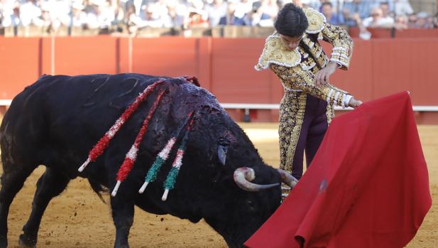 Álvaro Acevedo: «Juan Ortega pegó cinco muletazos para el recuerdo»