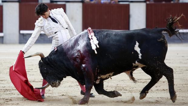 Lo que toros y viento se llevaron