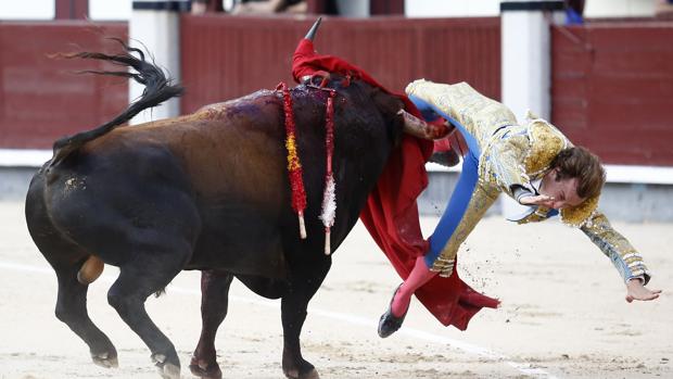 Román, al doctor tras la cornada: «¿Me estoy muriendo?»