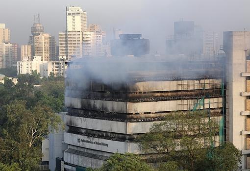 El incendio en el Museo de Historia Natural en Nueva Delhi (India)