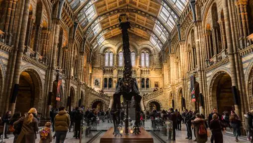 Descubre por qué estos han sido los museos más visitados del mundo en 2018