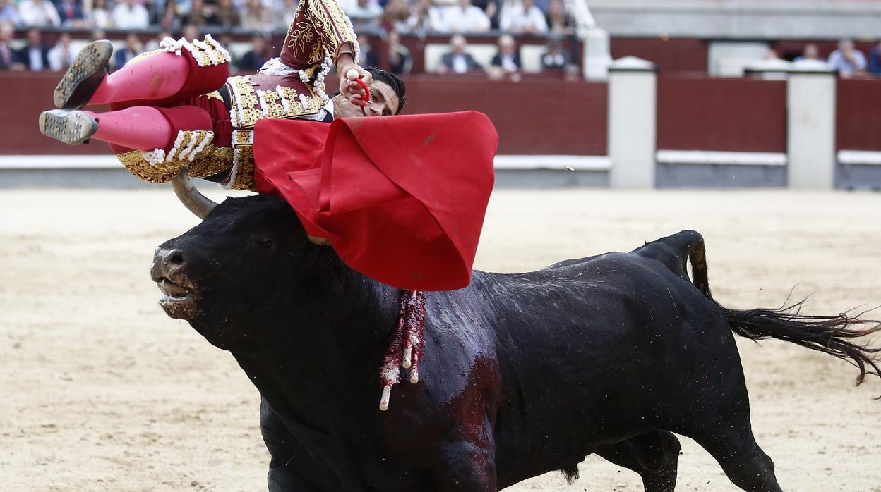 Pablo Aguado, en el momento de la cornada