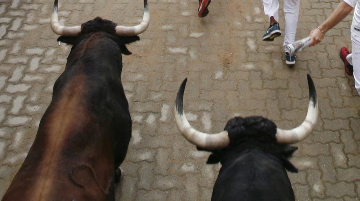 Momento en el que dos toros entran a la plaza