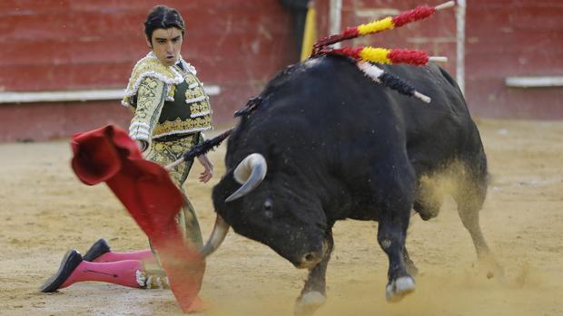 Feria de Julio de Valencia: vuelta al ruedo al sobrero «Holgado», de Algarra