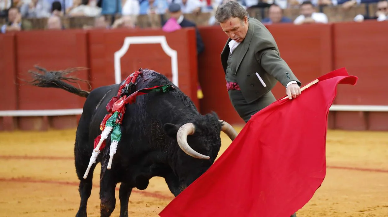 Pepe Luis Vázquez, durante un natural en el último festival celebrado en la Maestranza de Sevilla