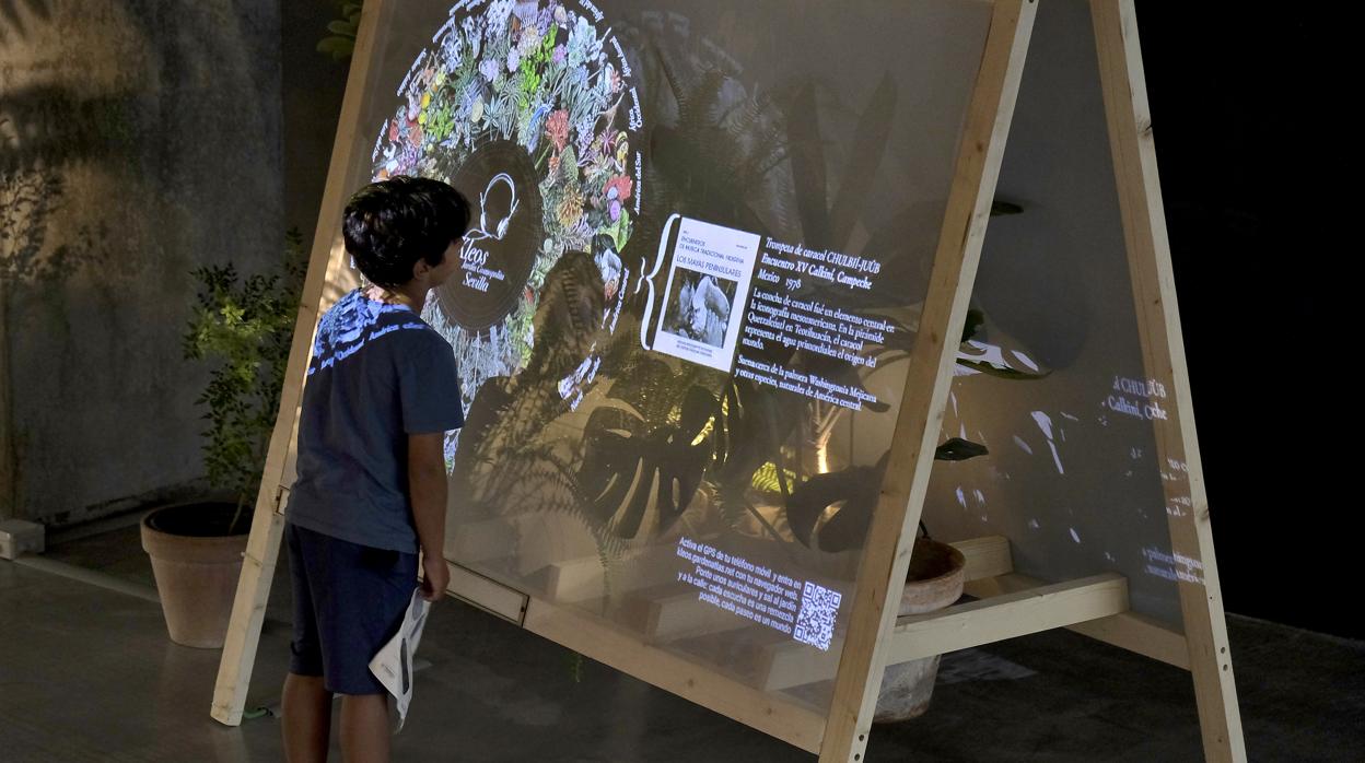 Un niño observa el panel explicativo de la APP «Kleos» ayer en CaixaForum