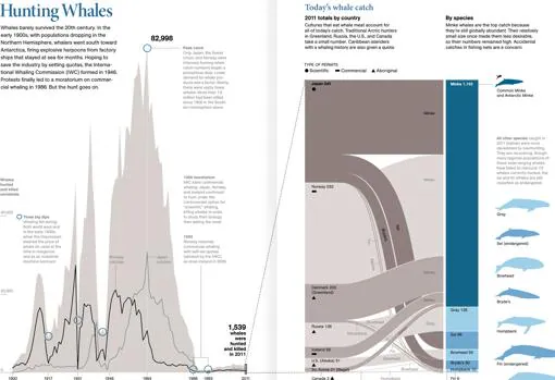 Iconografia sobre captura de ballenas para «National Geographic»