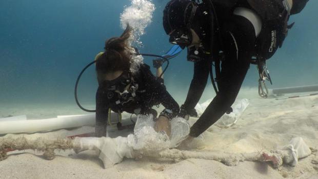 Hallan once sables de principios del siglo XIX en aguas de Formentera