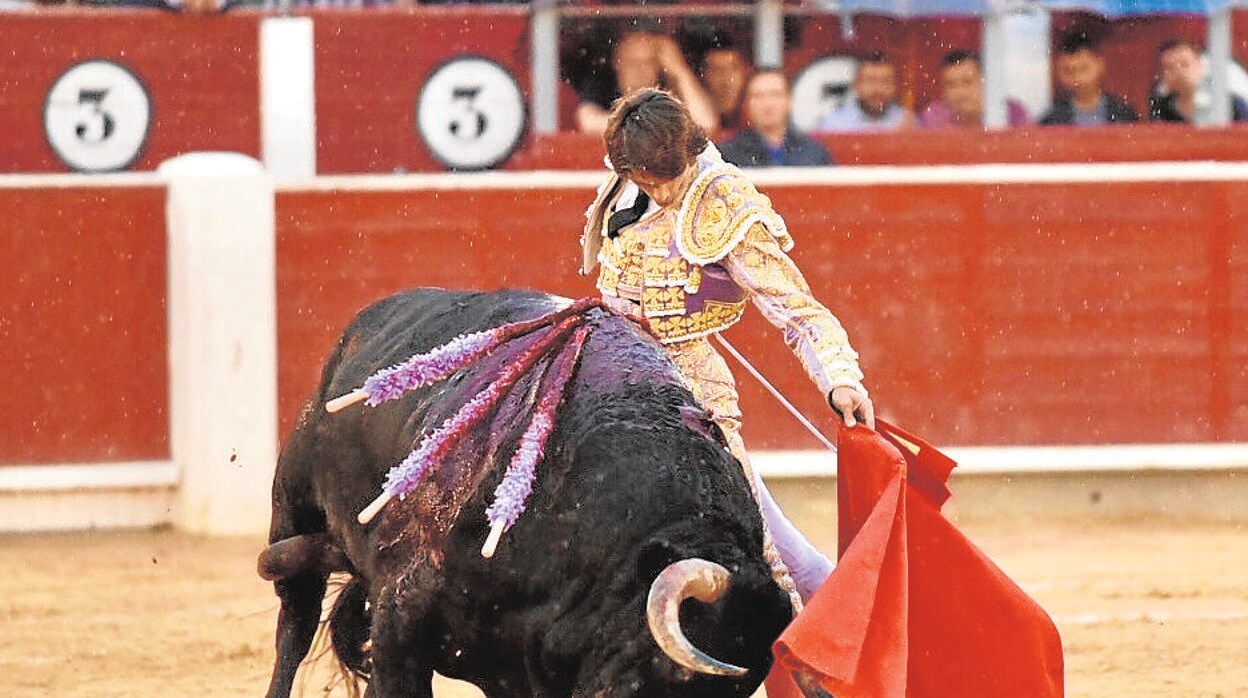 Sebastián Catella gozó del pitón zurdo del cuarto toro de Montalvo