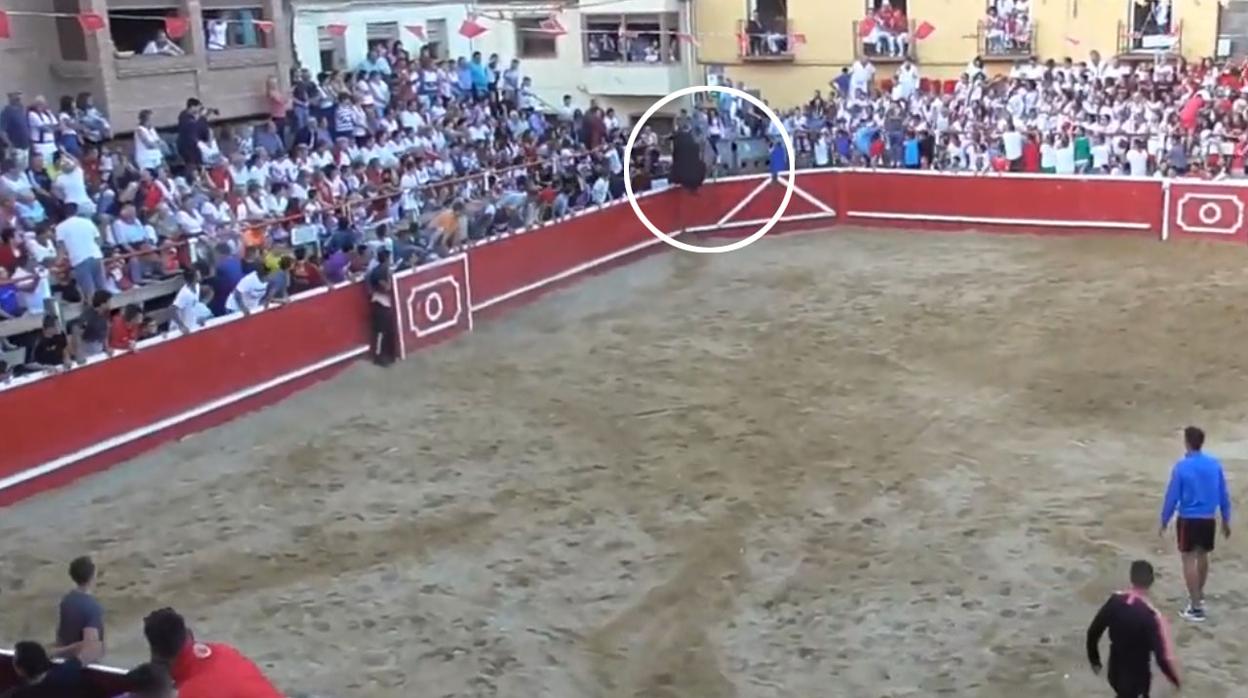 Momento en el que el toro salta al callejón