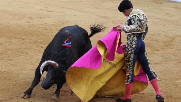 Ginés Marín indulta un toro de Zalduendo en Zafra