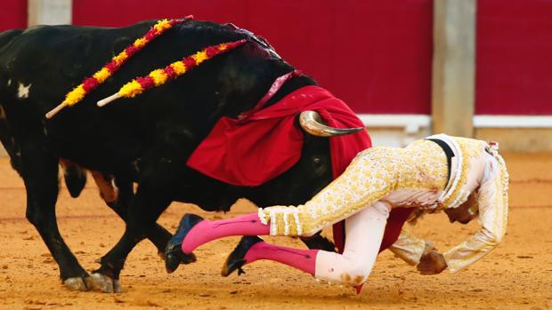 Enrique Ponce, prendido al entrar a matar al primer toro en la Feria del Pilar