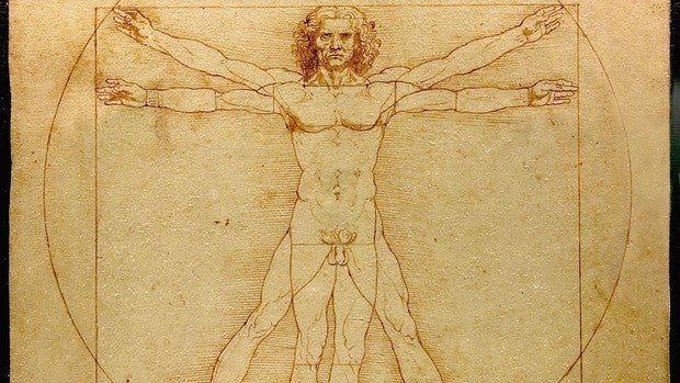 La justicia italiana cede y el Louvre sí expondrá el «Hombre de Vitruvio» de Da Vinci