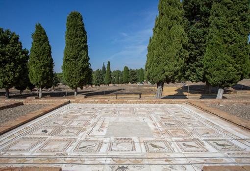 Mosaicos en el conjunto monumental de Itálica