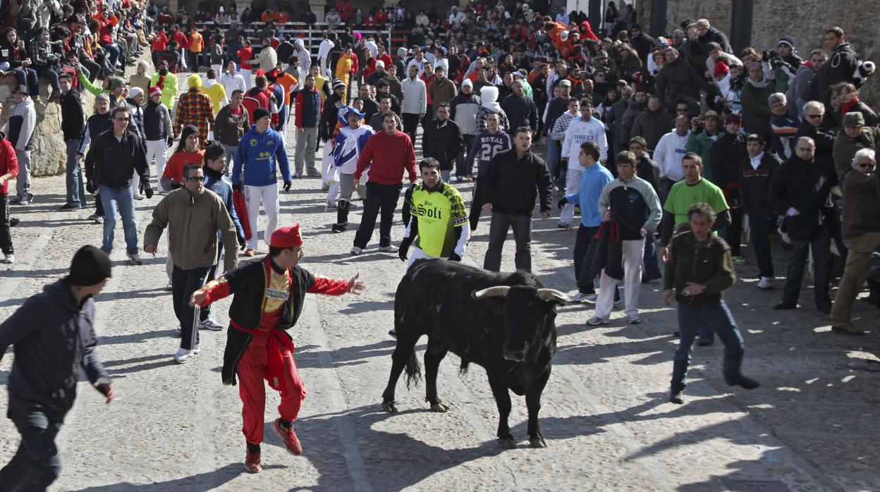 Encierros en Ciudad Rodrigo