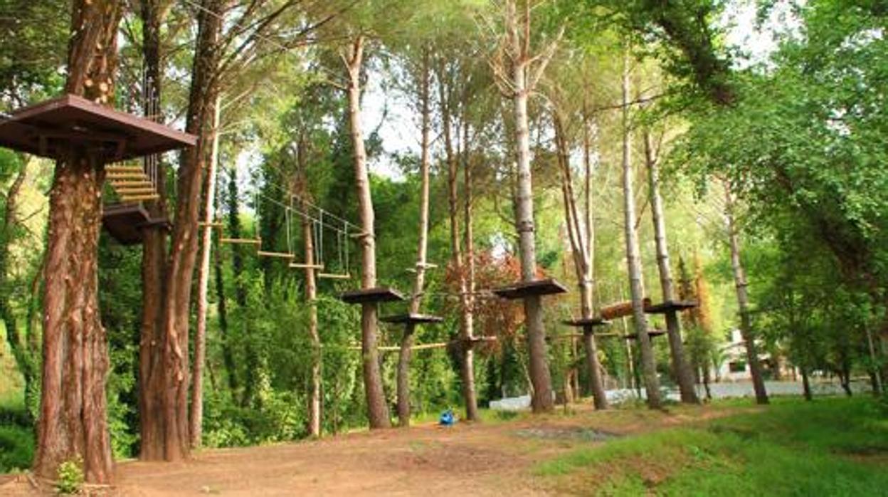 Bosque suspendido en la Sierra Norte