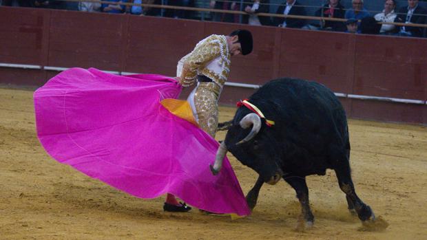 Los ángeles de los toreros serán homenajeados en un festival en Vistalegre