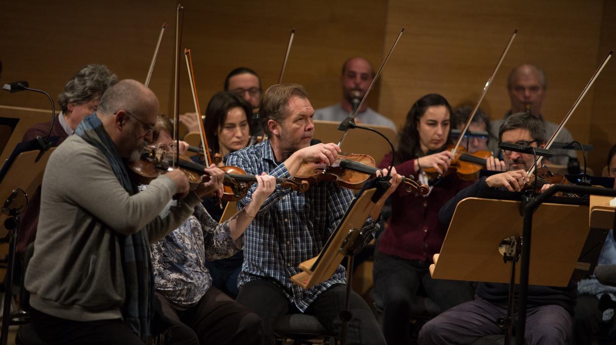 Profesores de la Real Orquesta Sinfónica de Sevilla durante un ensayo