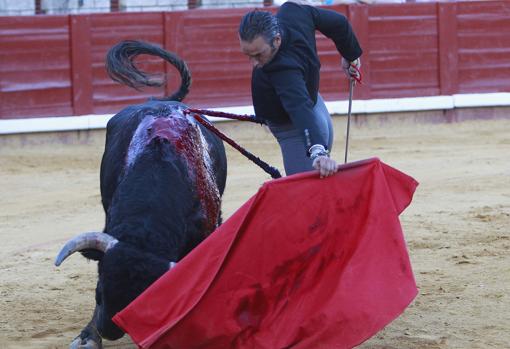 El profesor Manuel Carbonell, toreando en uno de los últimos festivales