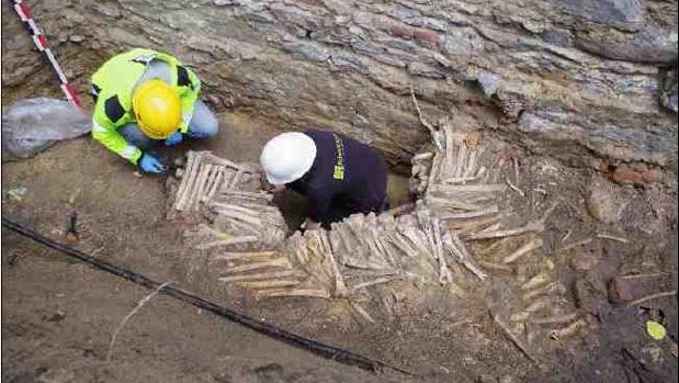 Descubren un macabro muro de huesos humanos de hace quinientos años en una catedral belga