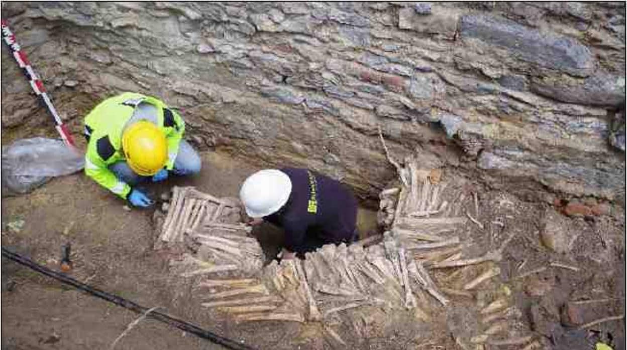 Descubren un macabro muro de huesos humanos de hace quinientos años en una catedral belga