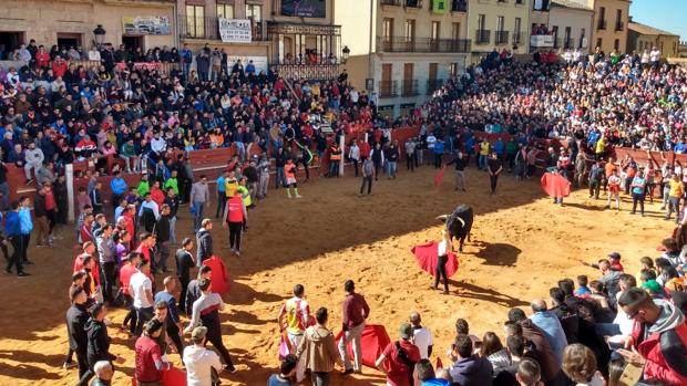 Tres heridos en el Carnaval del Toro de Ciudad Rodrigo