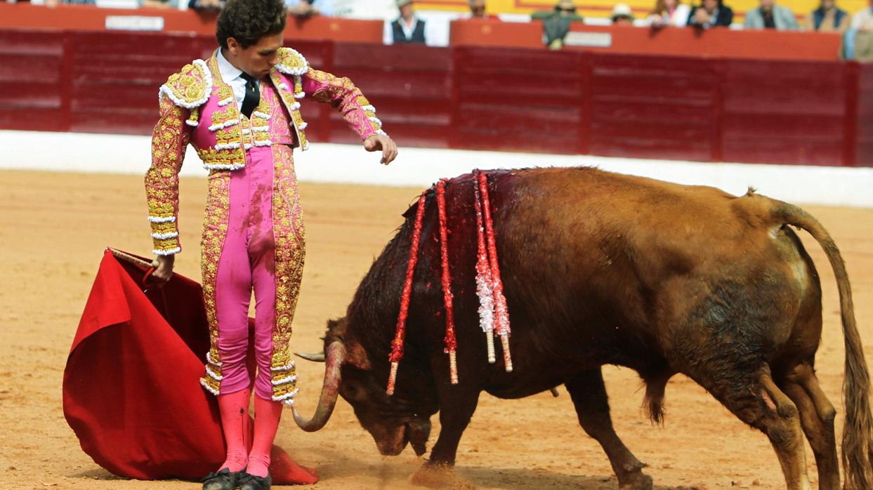 Ginés Marín, el pasado domingo en Olivenza con un gran toro de Victoriano del Río