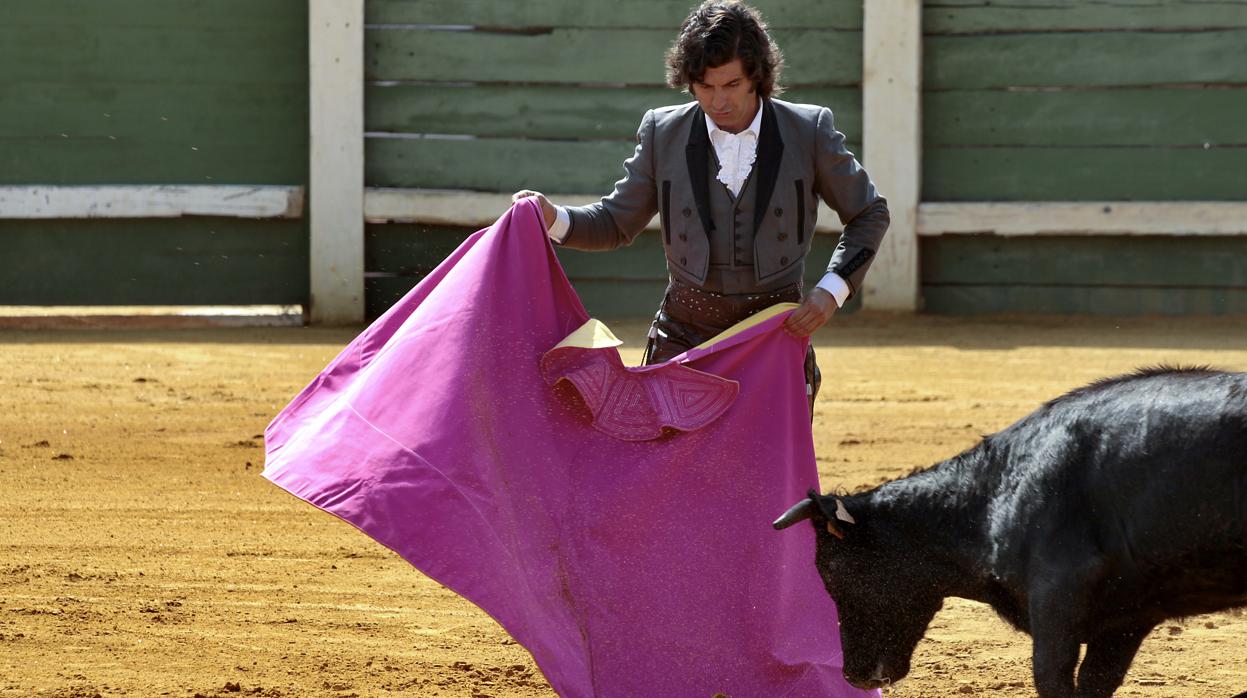 Morante de la Puebla, durante un tentadero de hembras en su finca