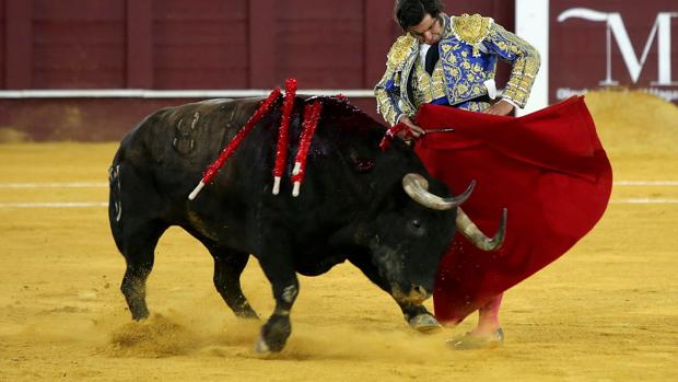 La crisis del Covid-19 paraliza los concursos de las plazas de toros de Málaga y Albacete