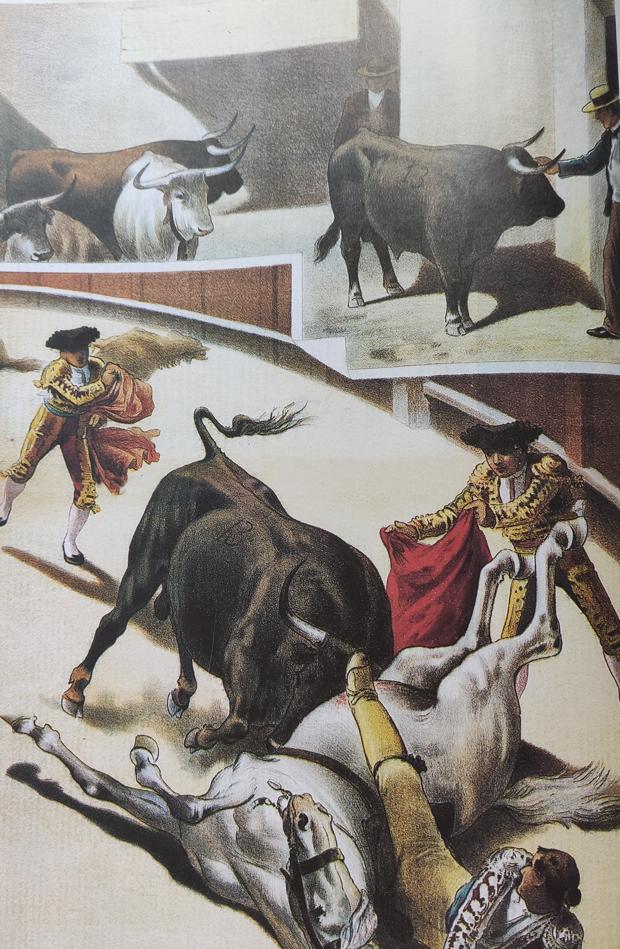 Historia de «Religioso», el toro al que daban azúcar y mató cuatro caballos