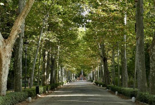 Avenida interior del Parque de María Luisa