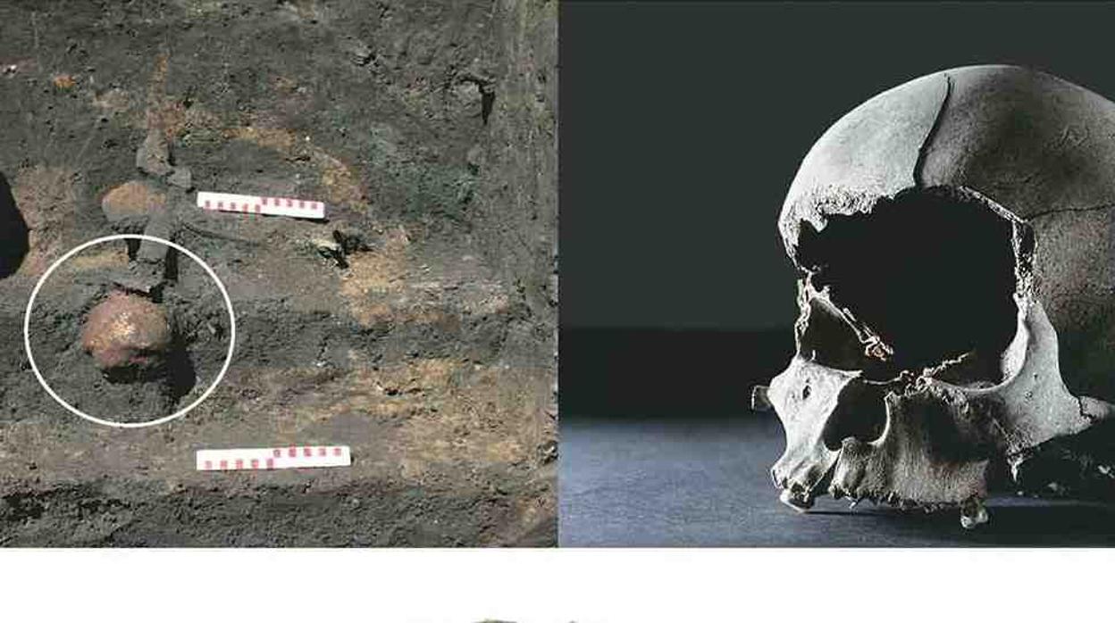 Las macabras prácticas funerarias de los vikingos: enterraban en sus casas cráneos y cuerpos de bebés