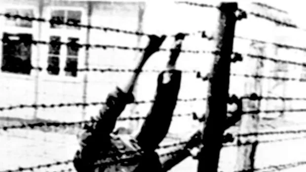 Las aterradoras cifras de Mauthausen, el campo nazi de la muerte