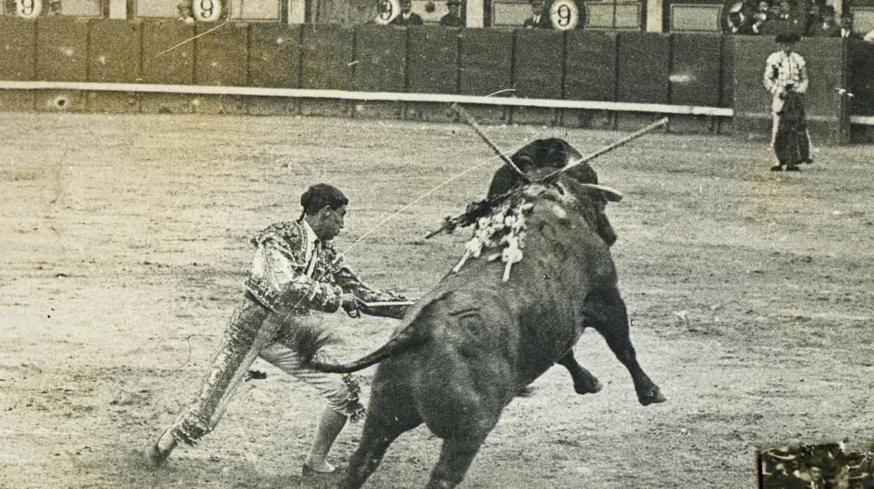 Joselito, con un toro de Santa Coloma