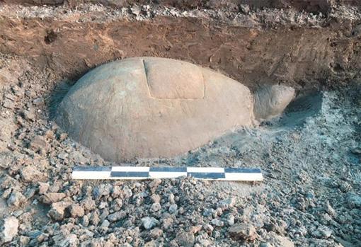 Encuentran una extraña escultura de una tortuga sumergida en un templo de Angkor