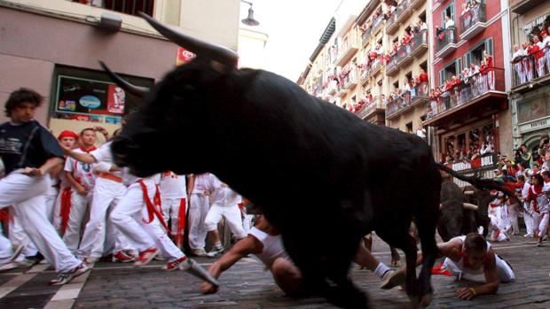 Navarra pone en marcha ayudas para el ganado de lidia: 90 euros por animal