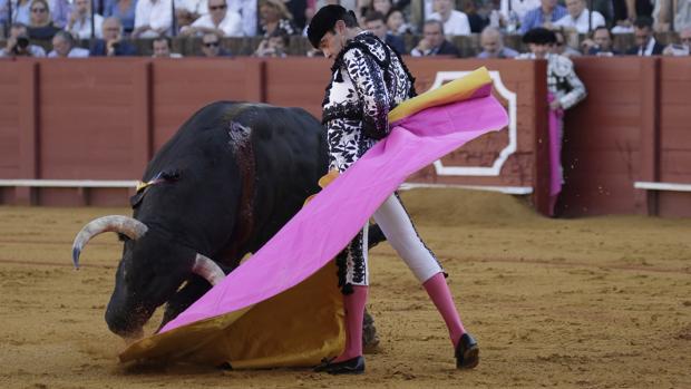 Enrique Ponce planifica una corrida como único espada en las Navas de San Juan