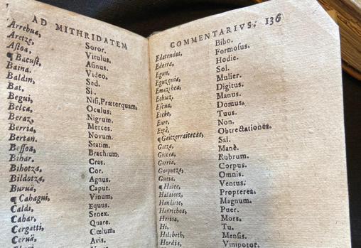 Algunas de las 100 palabras traducidas del euskera al latín