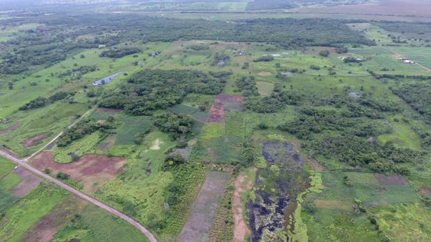 Descubren el monumento maya más antiguo y grande hasta el momento