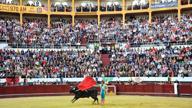 Estocada a la Fiesta en Colombia: Bogotá aprueba un proyecto que prohíbe la muerte del toro en la plaza