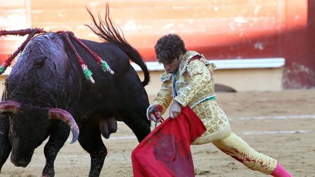 Las ciudades taurinas de Francia elaboran un plan para hacer sostenible la tauromaquia