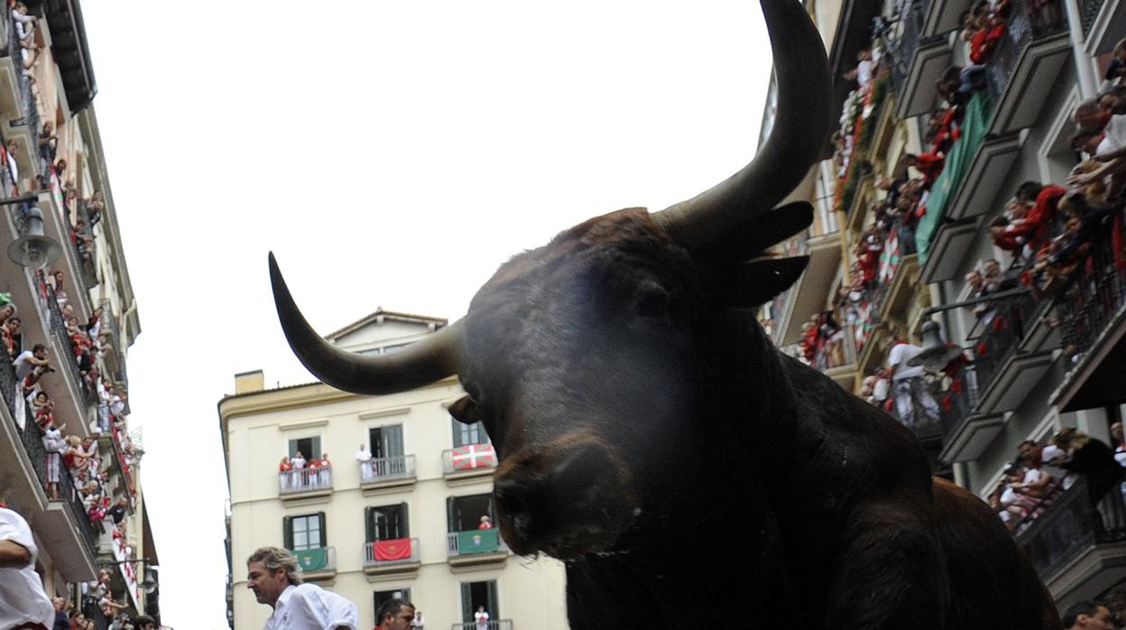 Toro de Cebada Gago