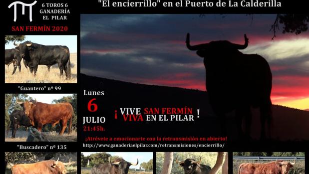 Dos ganaderías emitirán sus particulares encierros de San Fermín 2020 de manera gratuita