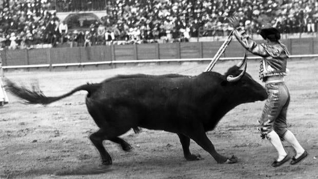 La teoría de los toreros «fríos de cuello» y el miedo: los que temen al público y los que temen al toro