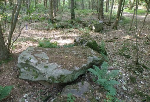 Una de las rocas sarsen de West Wood