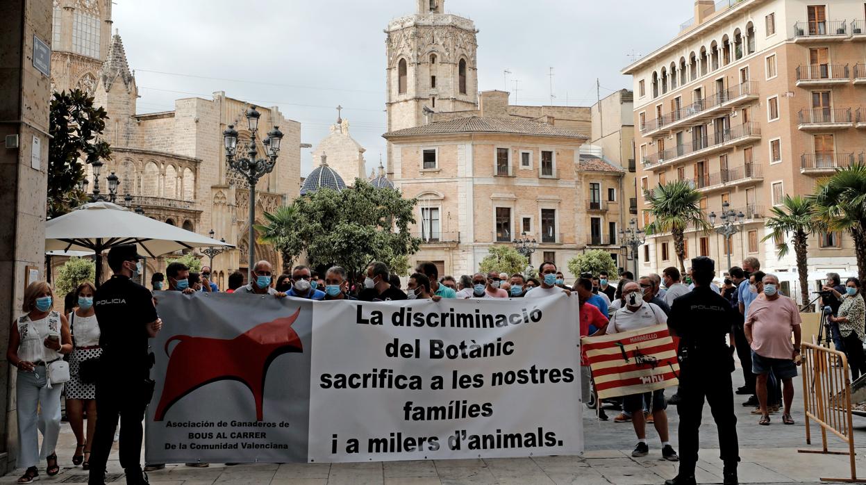 La Asociación de Ganaderos de Bous al Carrer se concentran para reclamar ayudas