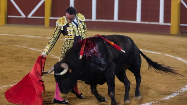 Así fue la corrida de Fuengirola, la última con medio aforo en Andalucía
